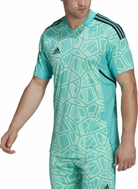 Pamja 5