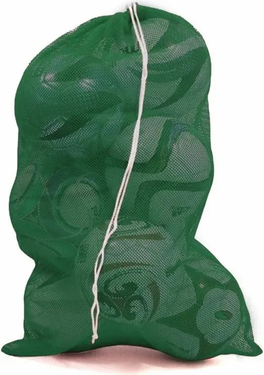 Pamja 1
