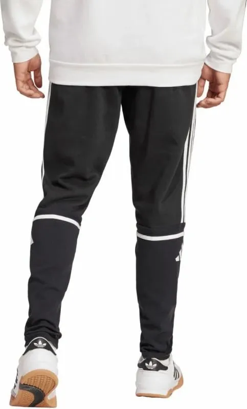 Pamja 2