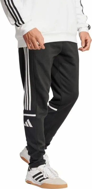 Pamja 3