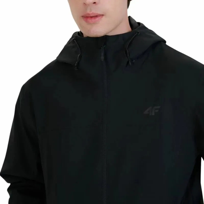 Pamja 4