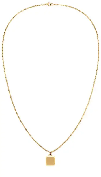 Qafore për meshkuj Tommy Hilfiger 2790544, 50 cm, e artë
