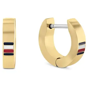 Vathë për meshkuj Tommy Hilfiger Men's Earrings 2790586