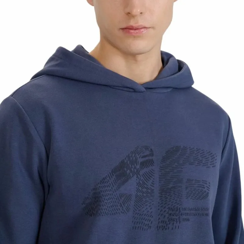 Pamja 4