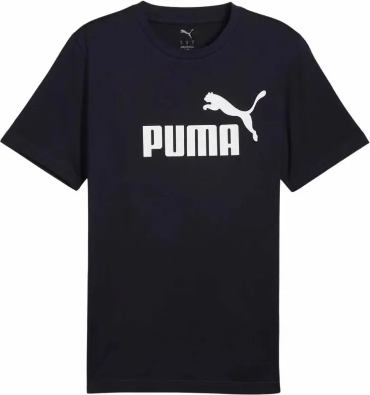Pamja 1