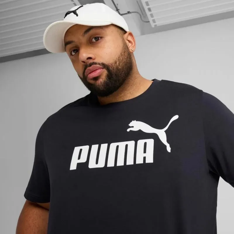 Pamja 4