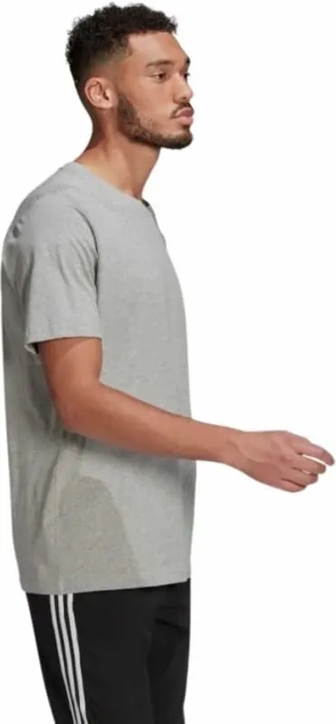 Pamja 3