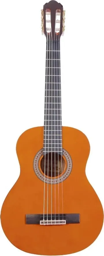 Pamja 1