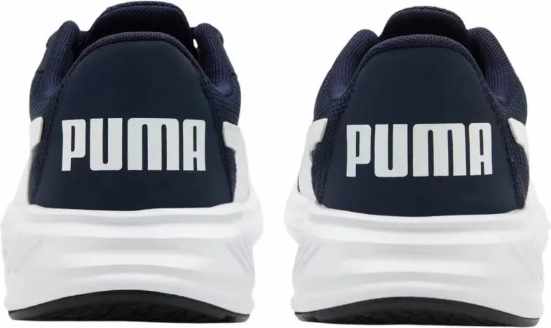 Pamja 3