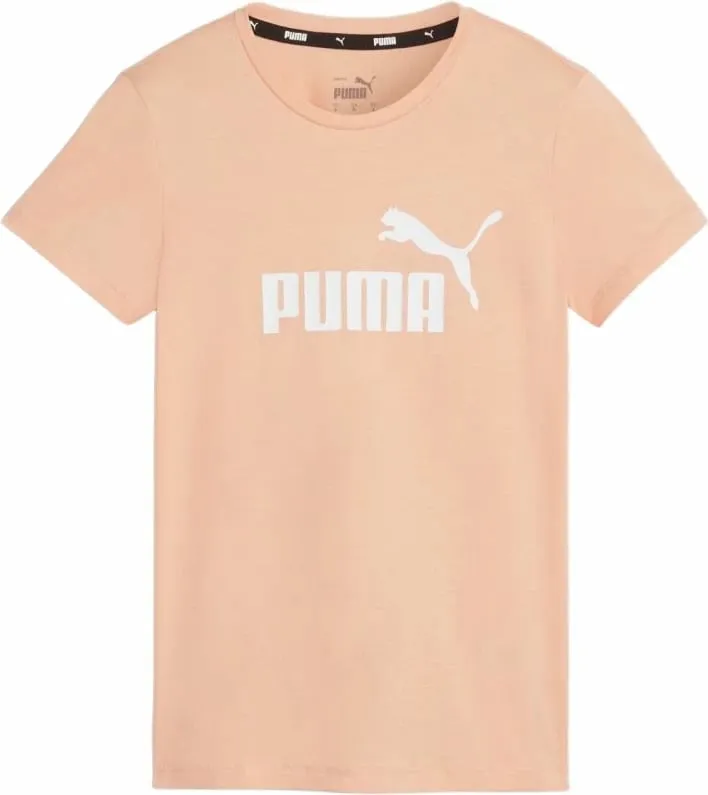 Pamja 1