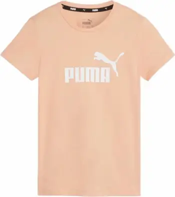 Maicë Puma femra, portokalli