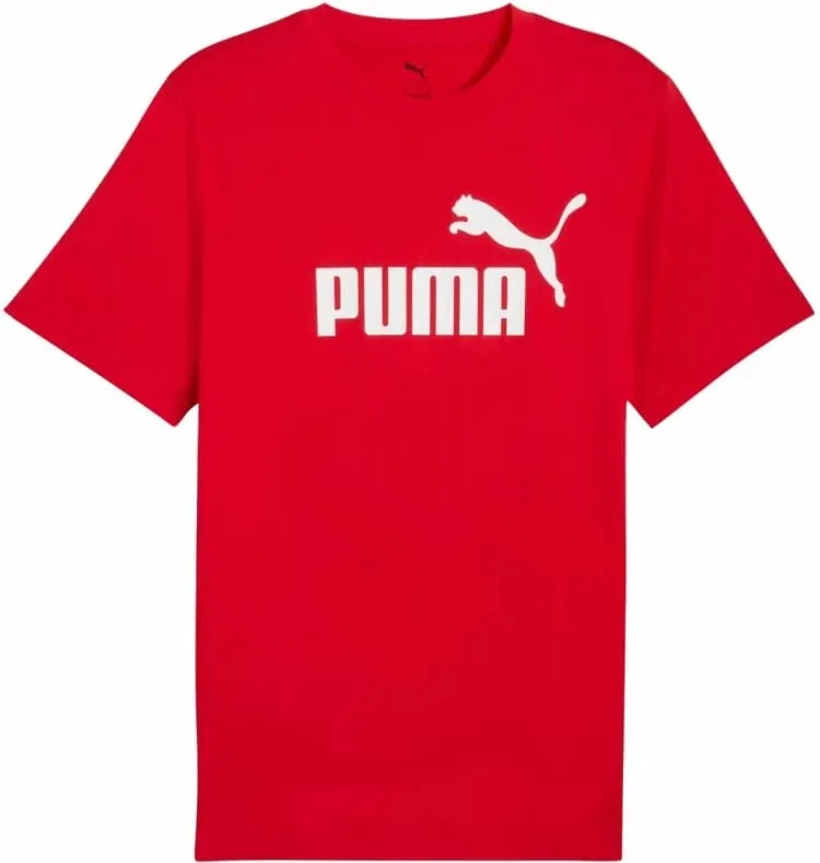 Pamja 1