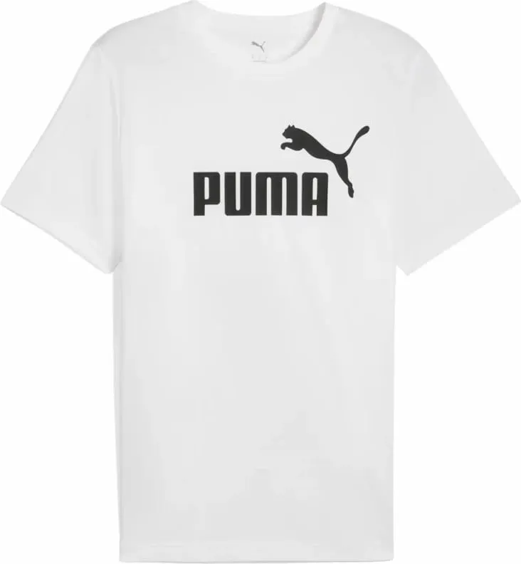 Pamja 1
