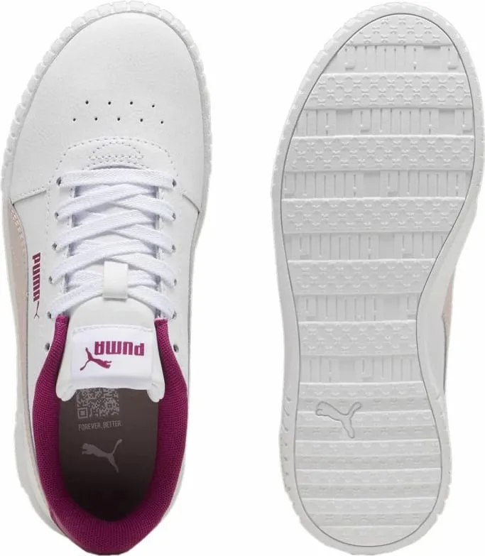Pamja 4