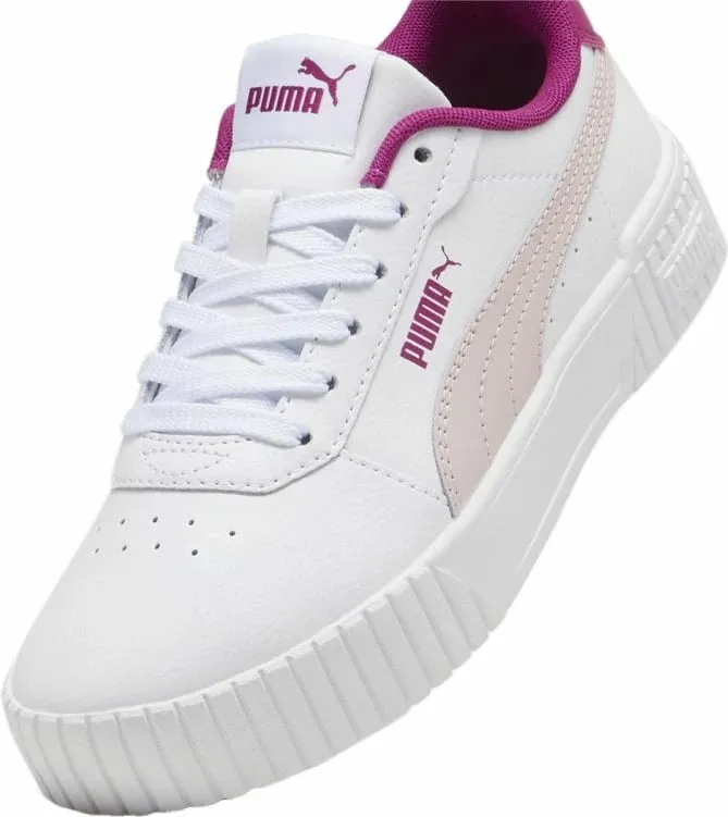 Pamja 6