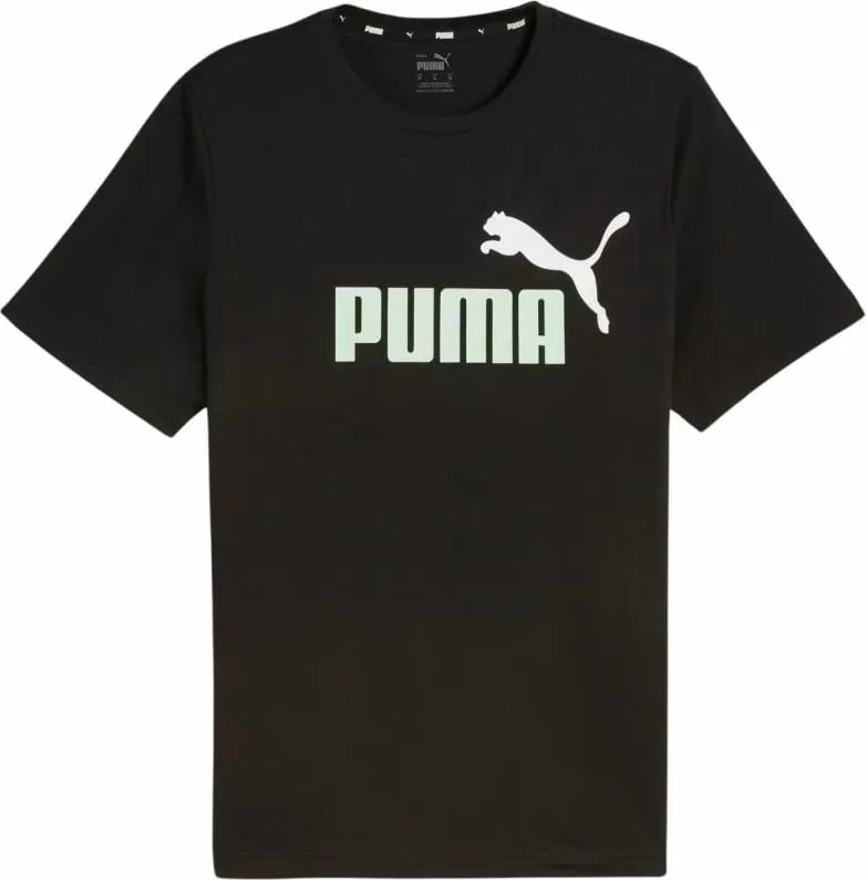 Pamja 1