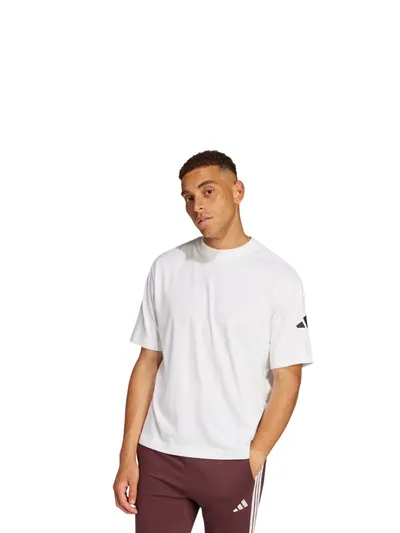 Pamja 2