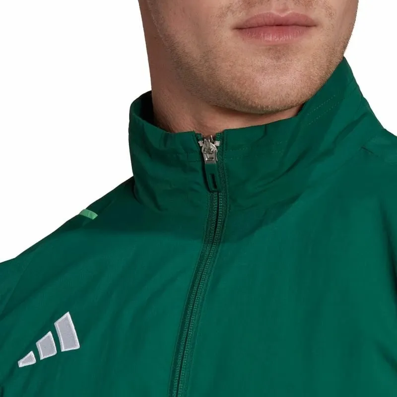 Pamja 4