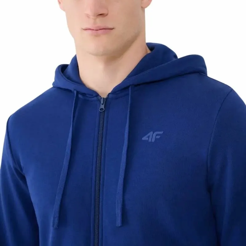 Pamja 4