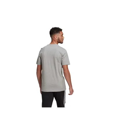 Pamja 2