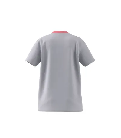 Pamja 2