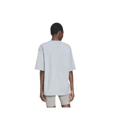 Pamja 2
