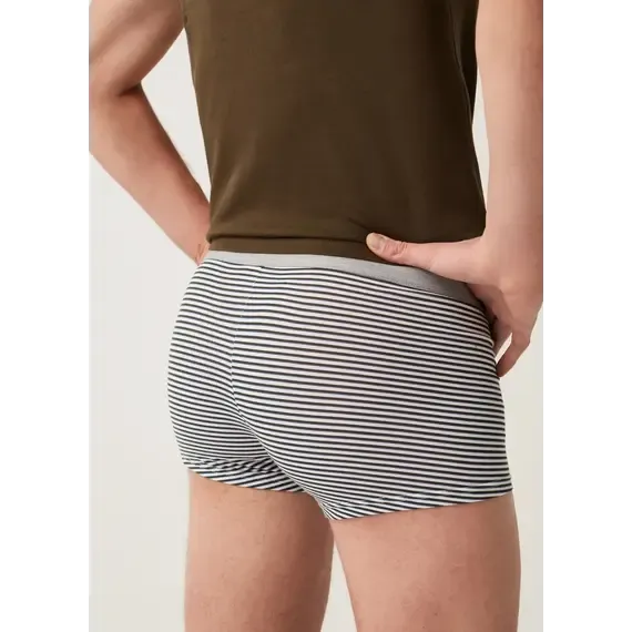 Pamja 3