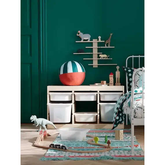 Pamja 6