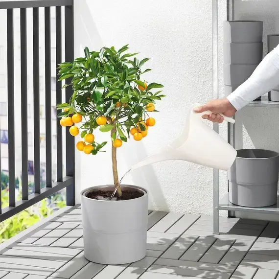 IKEA PS Kovë për ujitje 12 l - 3