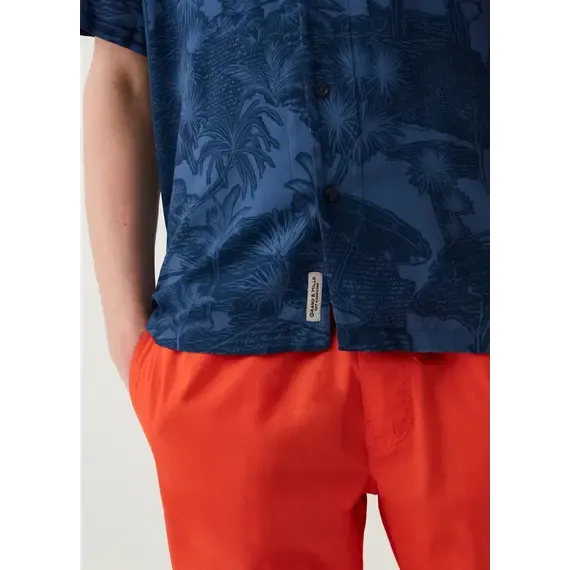 Pamja 4