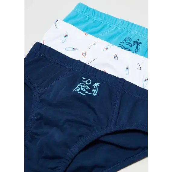 Pamja 3