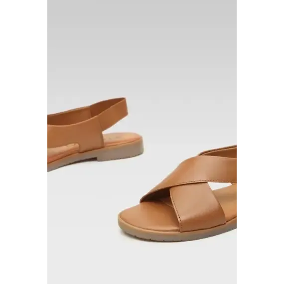 Pamja 4
