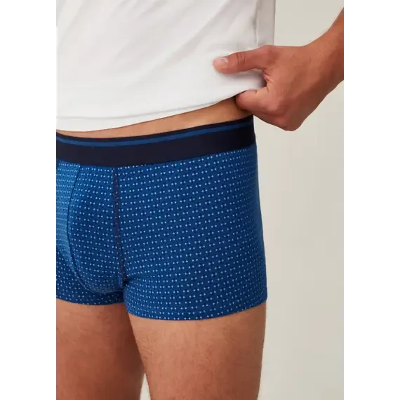 Pamja 4