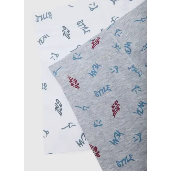 Pamja 3