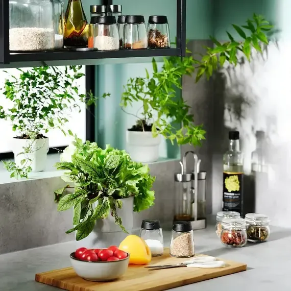 IKEA 365+ IHÄRDIG Kavanoz për erëza 4 copë, 15cl - 5