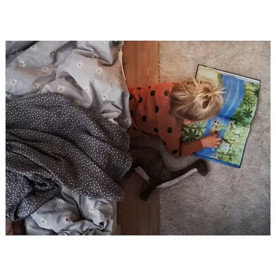 Pamja 4