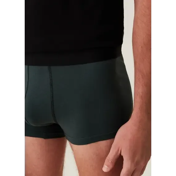 Pamja 4