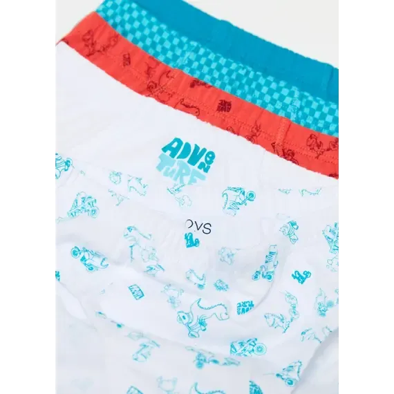 Pamja 3