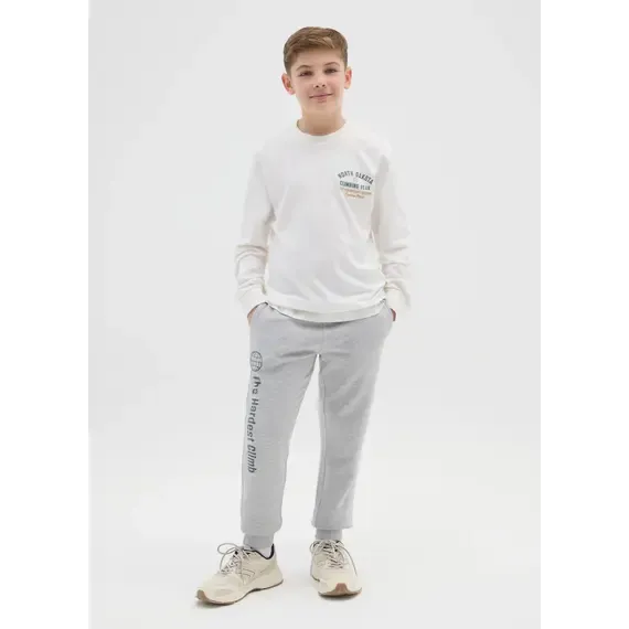 Pamja 3