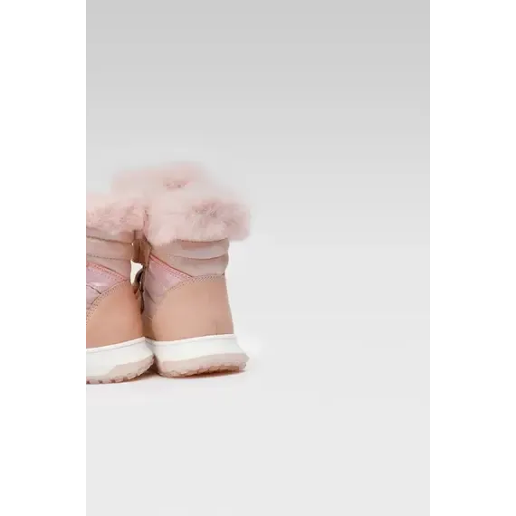 Pamja 5