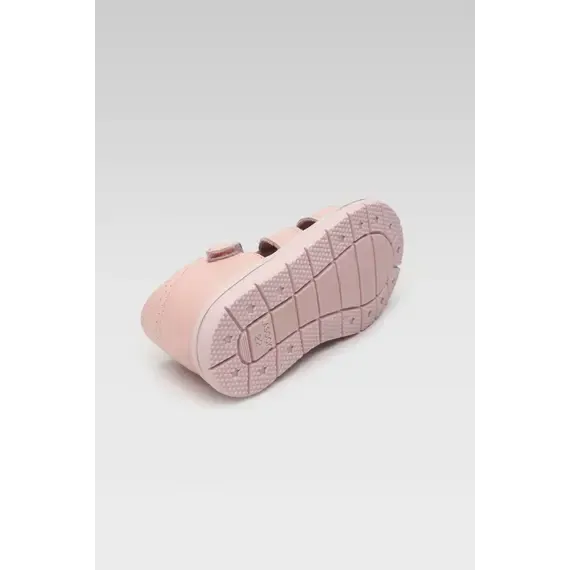 Pamja 5