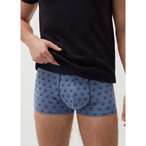 Pamja 2