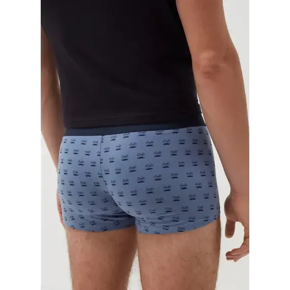 Pamja 3