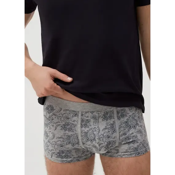Pamja 2