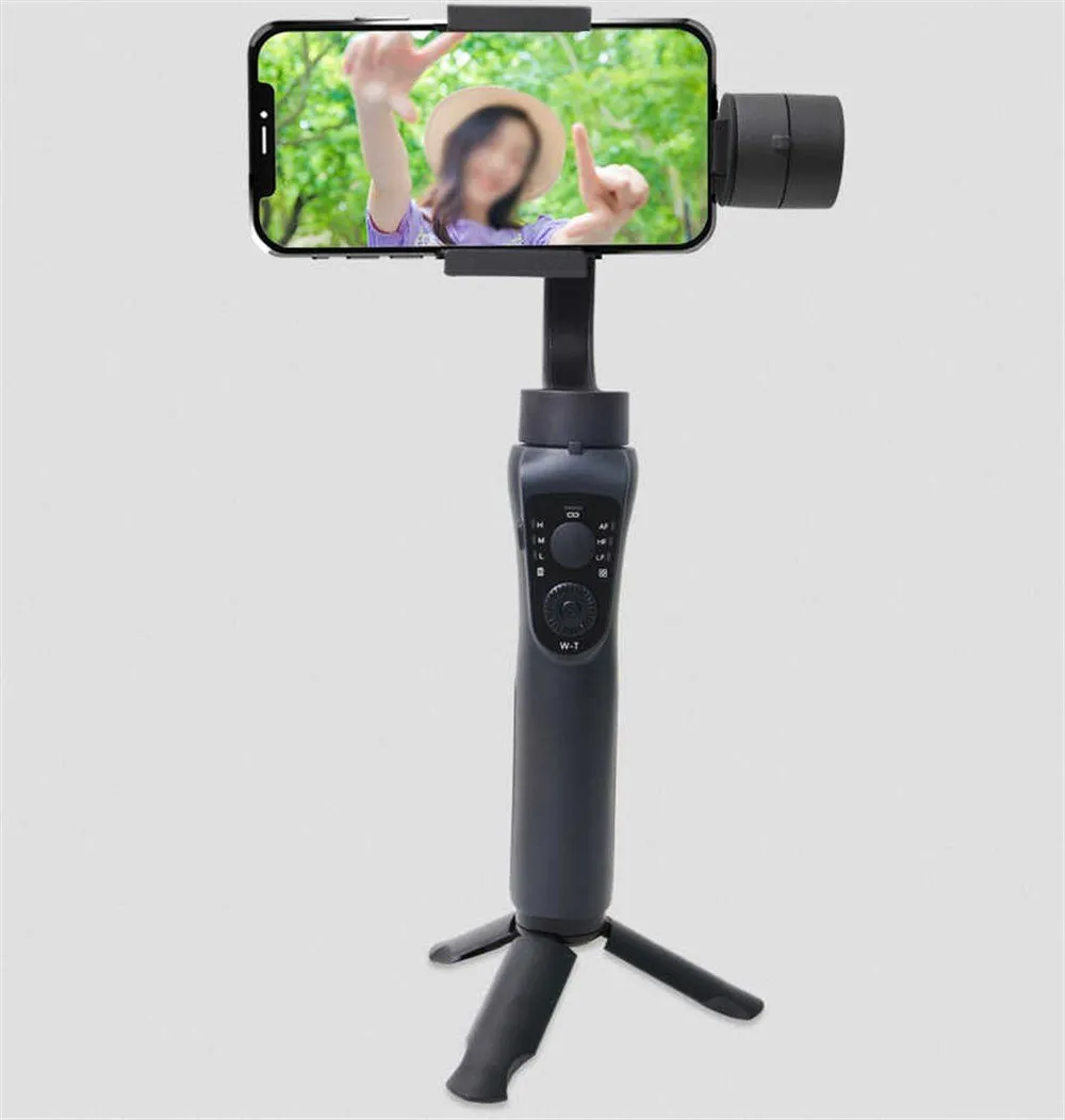 Pamja 6