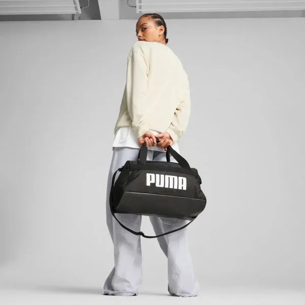 Pamja 2