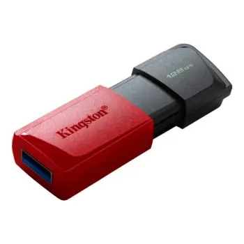 USB Flash Drive Kingston DTXM / 128GB / 100 MB/s read / USB 3.2 Gen1 / E kuqe
