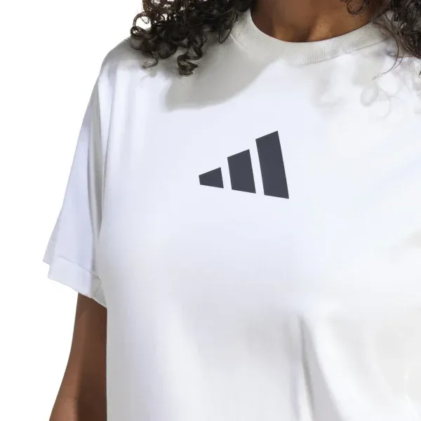 Pamja 6