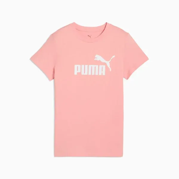 Pamja 4