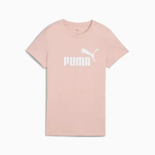 Pamja 3